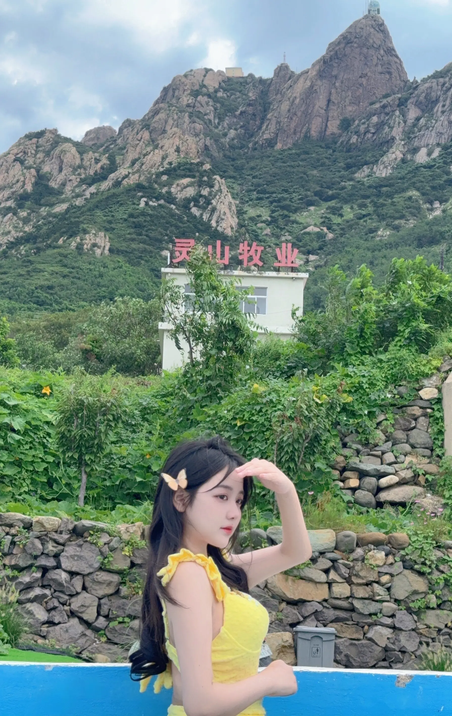 打卡十四天