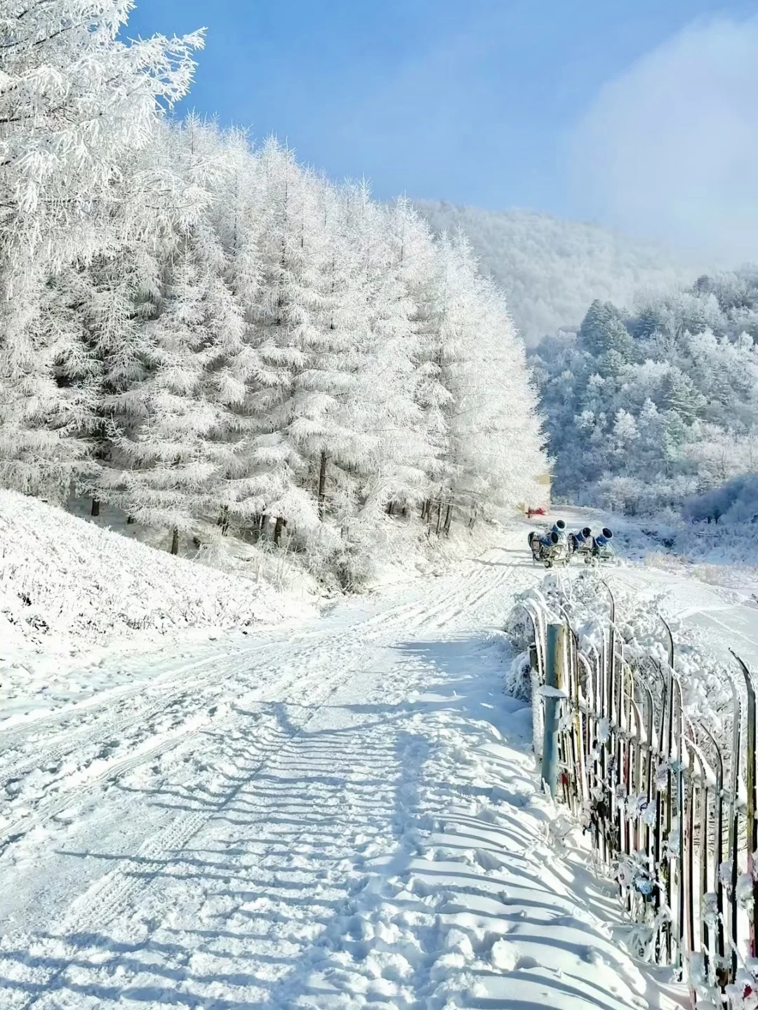 广东出发🚝去神农架赏雪❄4天3夜最全攻略