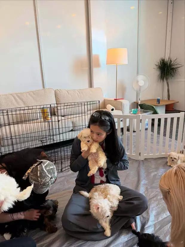 Jennie晒出生活日常照片，坐地上抱小狗超可爱。 ​​​