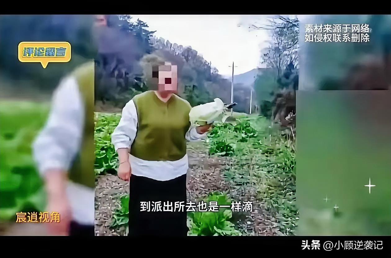 一个胖女人开着一辆奔驰，路过别人家的菜地时，居然下车去别人菜地里偷菜。


被菜