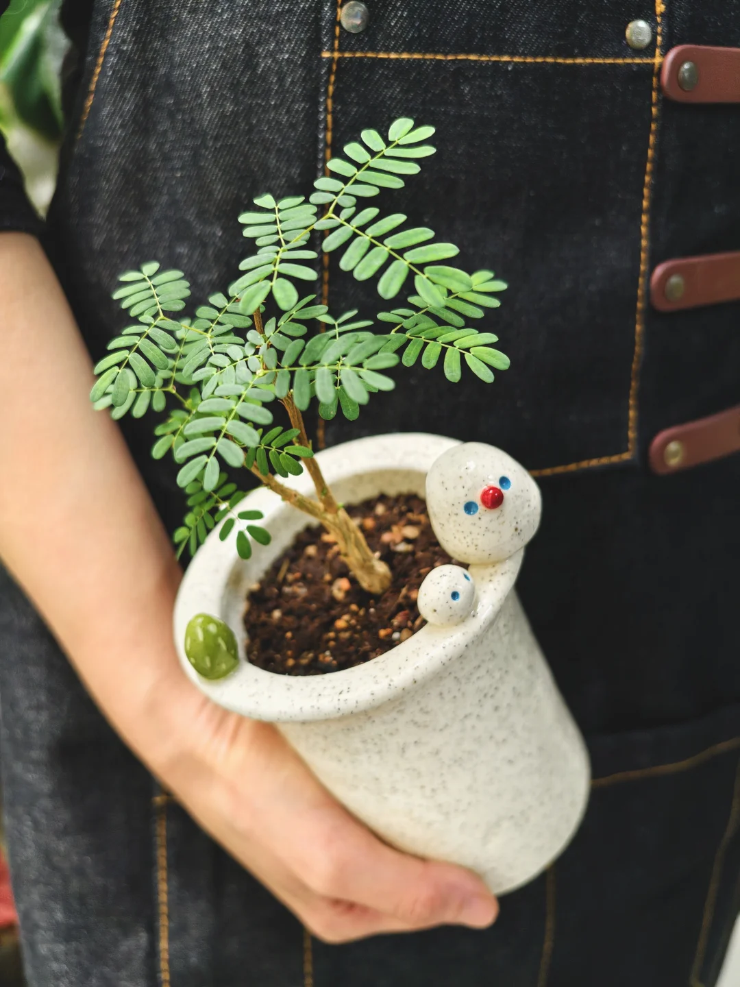 今年春天种了很多小树🌲