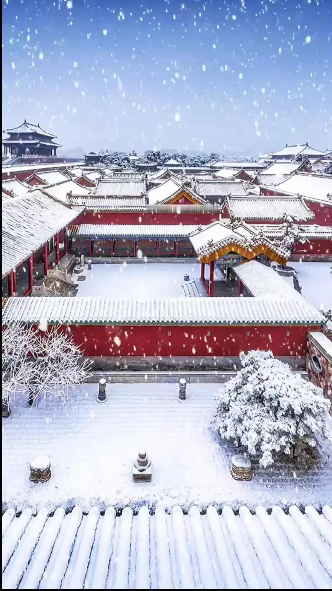 北京大雪后全城扫雪没有“自扫门前雪”的疏离，只有“全城齐上阵”的热忱。坡道上的合