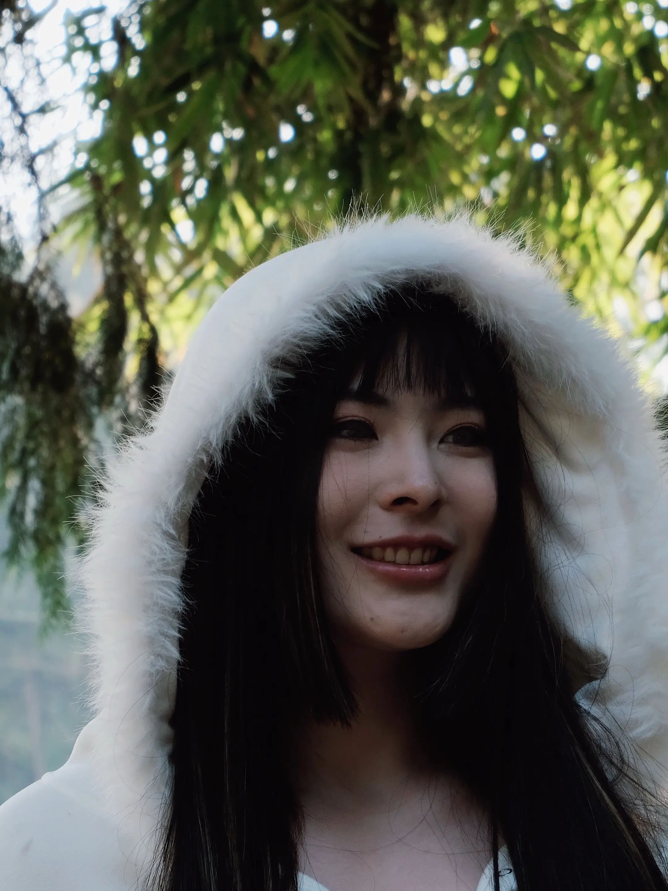 新年快乐呀！