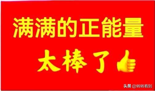 《七律•游黄河太行山行记》
作者：转转看到



黄河之水天上来，
万里奔腾入大