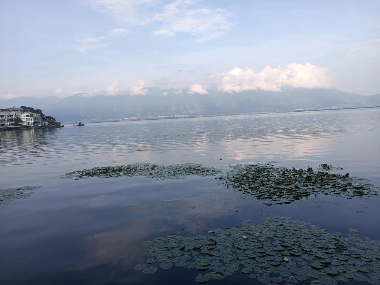 #看看你拍的洱海#