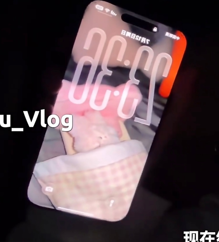 爱一只兔就要只爱一只兔 