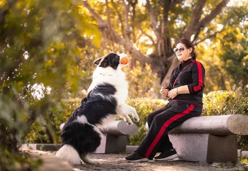 近期，恶犬扑咬行人、宠物犬突然发狂的新闻接连登上热搜，