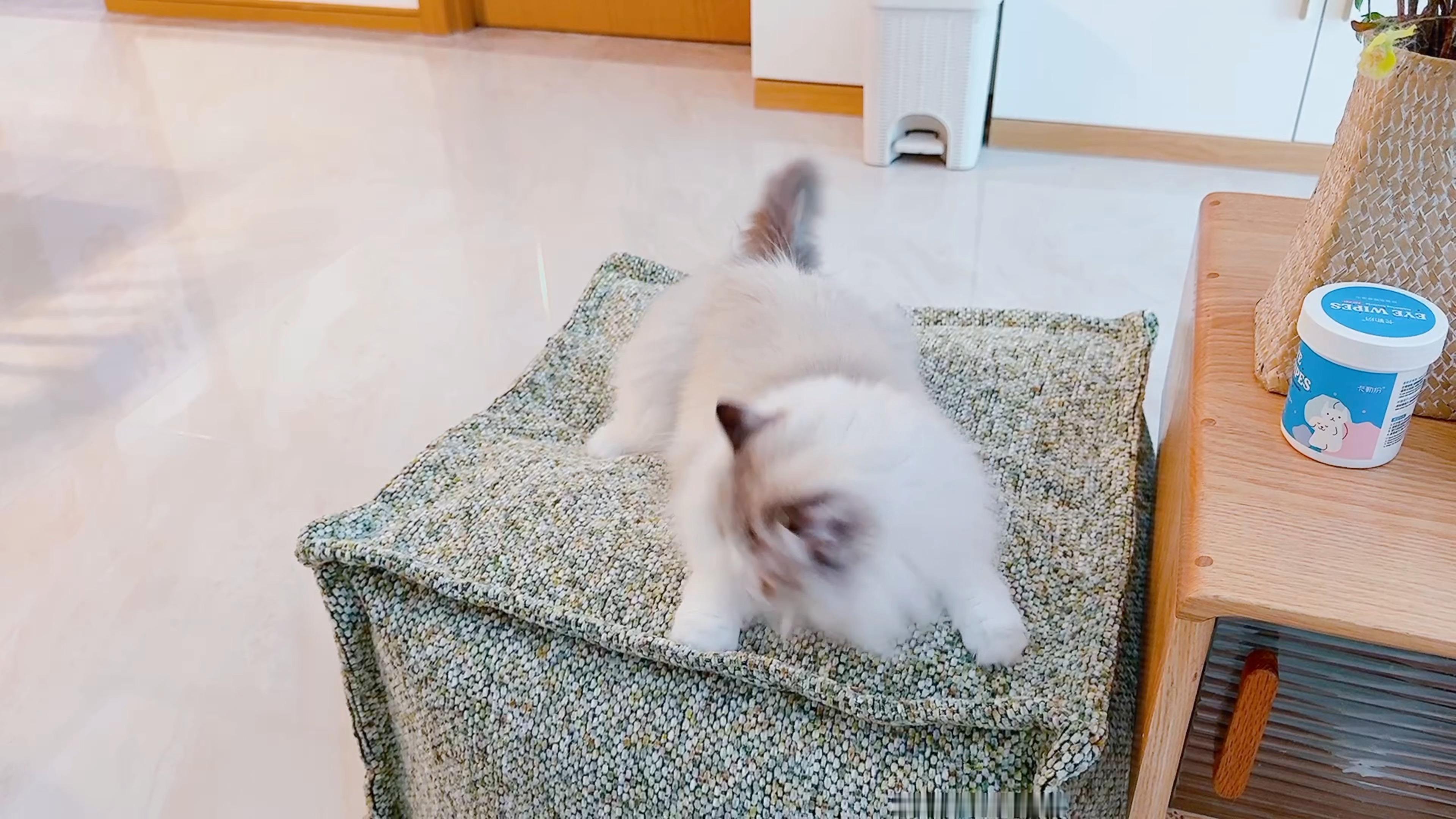 洛：我脊！ 