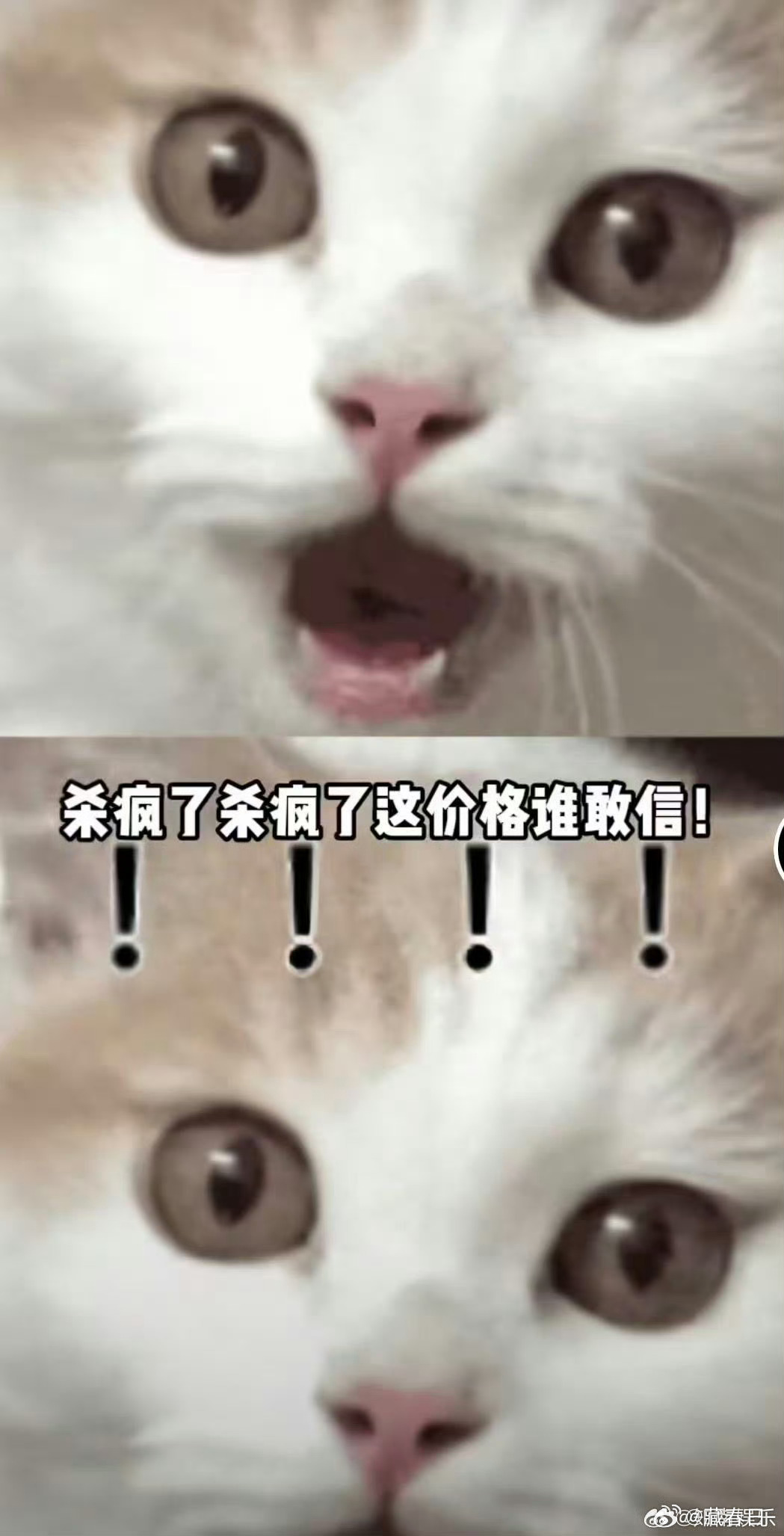 北京车主嘴角上扬了北京车主双十一狂喜谁懂啊！双十一买车太香了！尤其是北京的朋友，