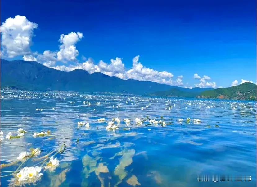 泸沽湖 ​，真美[赞]