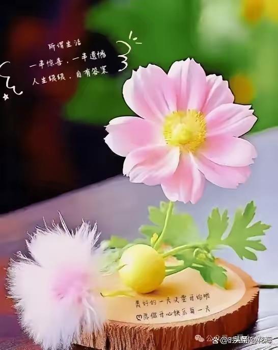 一条吐槽文引发的
流量海啸
我悟了！
 
昨天午休时刷头条，看到满屏千篇一律的“