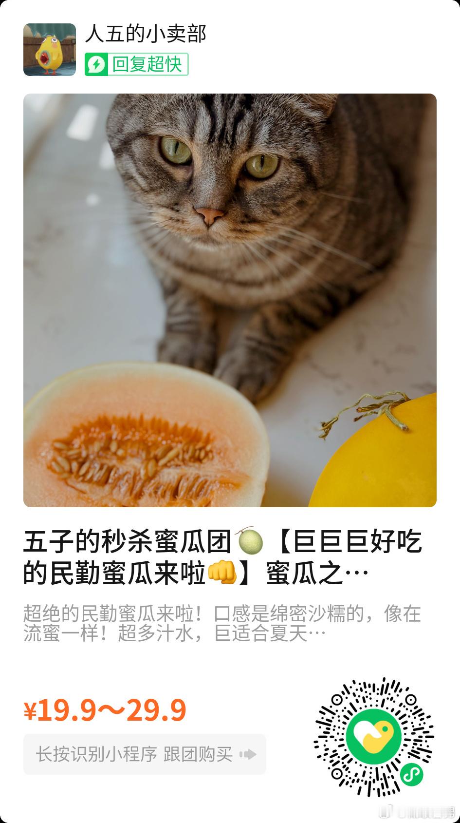 跟大家说一下这个蜜瓜真的就是供货价拿来直接卖的，19.9两个瓜京东/顺丰好快递包