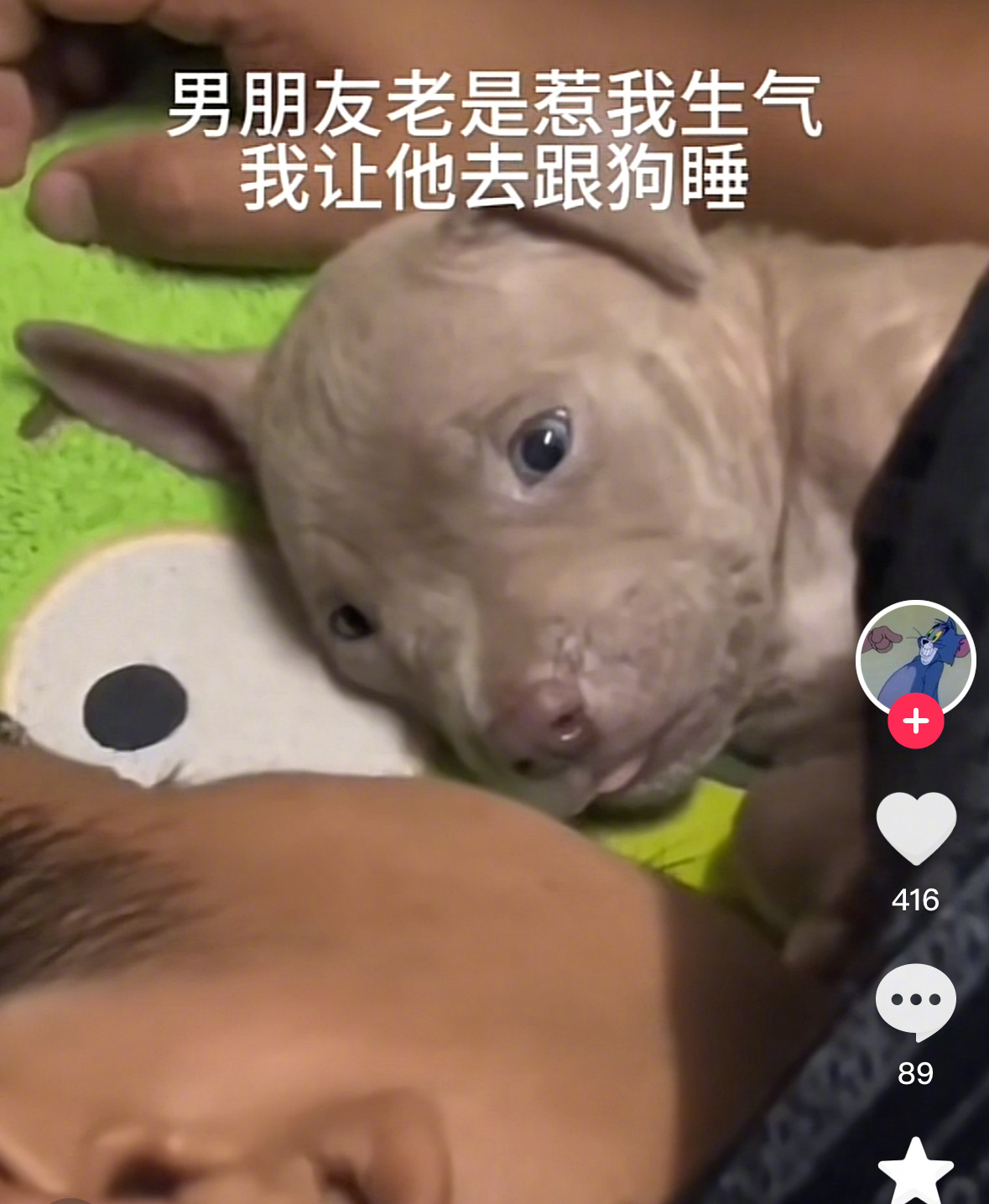 狗善变人妻 ​​​