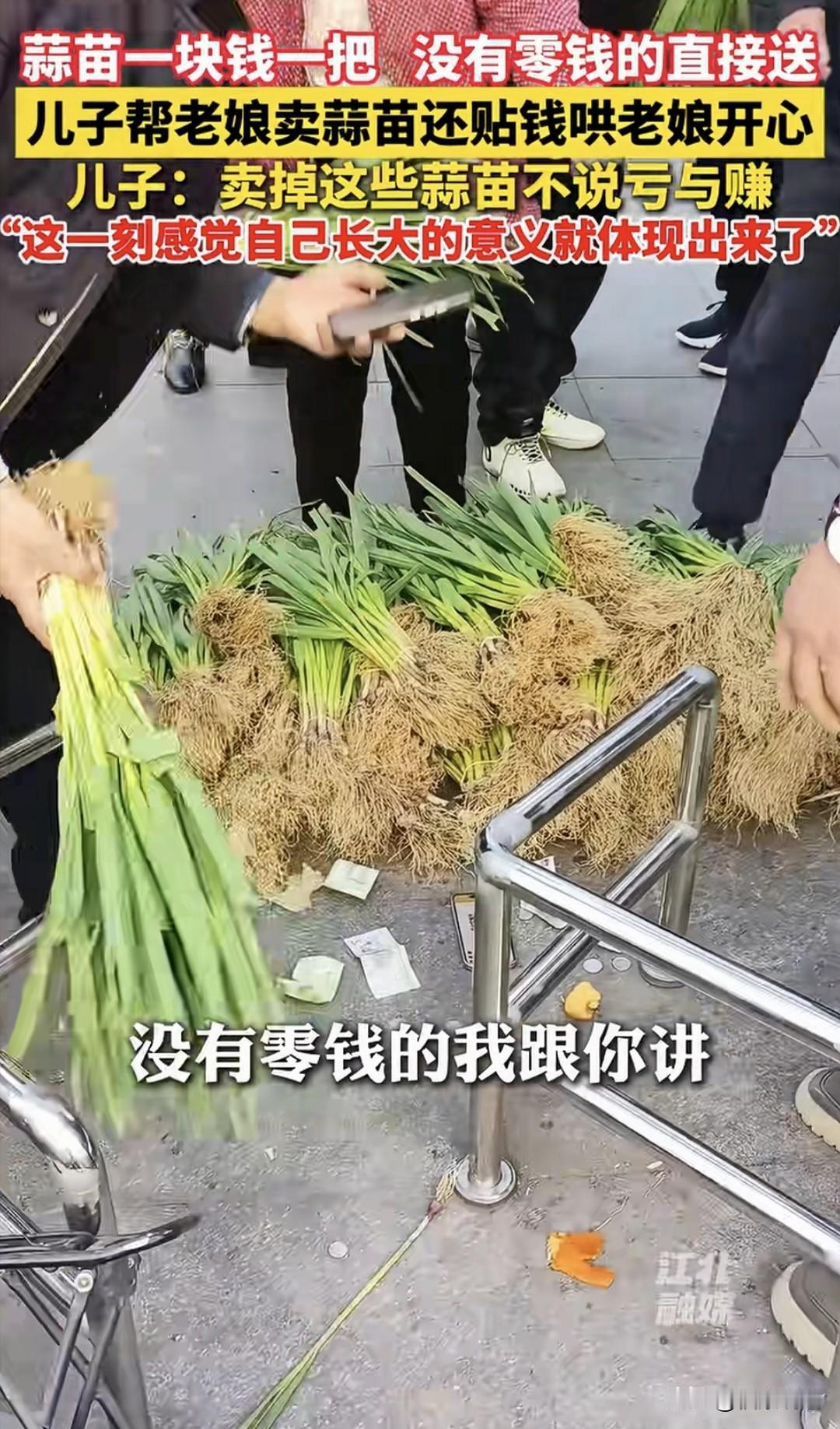 值！安徽蚌埠，65岁母亲种了一亩地蒜苗，卖不掉，愁的直叹气，儿子开车回家，将蒜苗