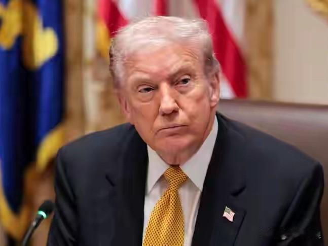 外国军事专家表示
2026年
将是特朗普的“收割年”

先是“收割”委内瑞拉
接