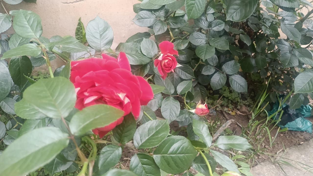 生活里很多人纠结，偶尔凌晨两点入睡，到底算不算熬夜。其实判断熬夜，从来不是只看入