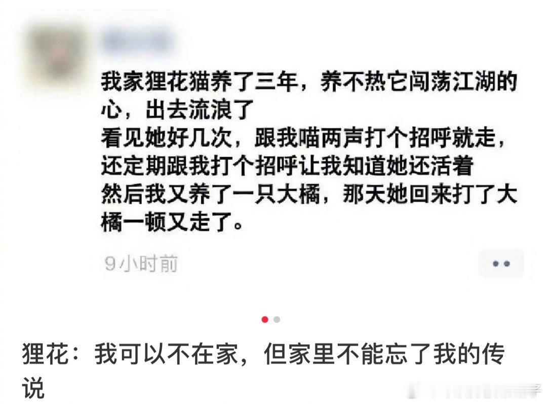 狸花:身在江湖心在家 ​​​