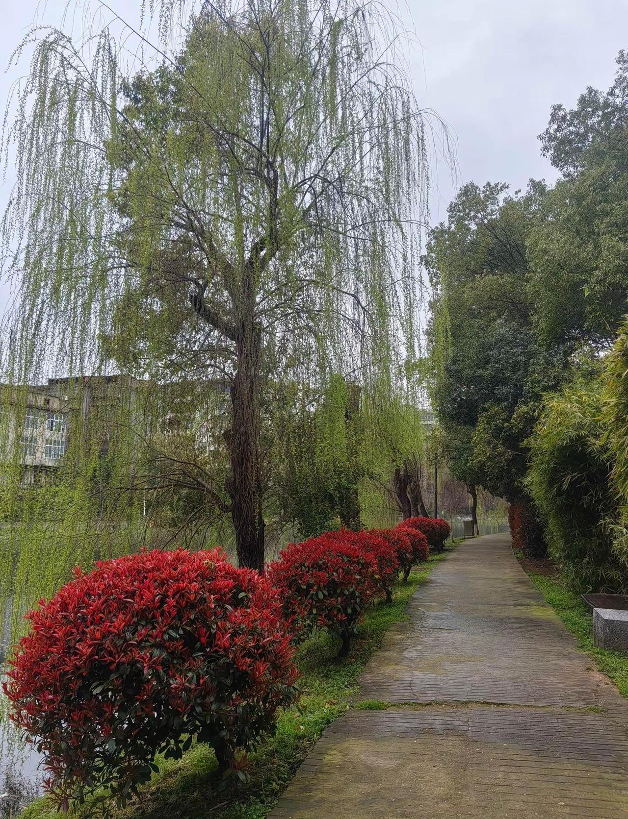 冷暖自知，品，你细品🤡