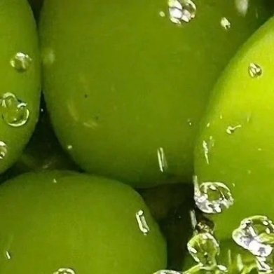 青提的种植方法一、土壤选择在种植青提时需要选择合适的土壤。种植青提时，可以选择有
