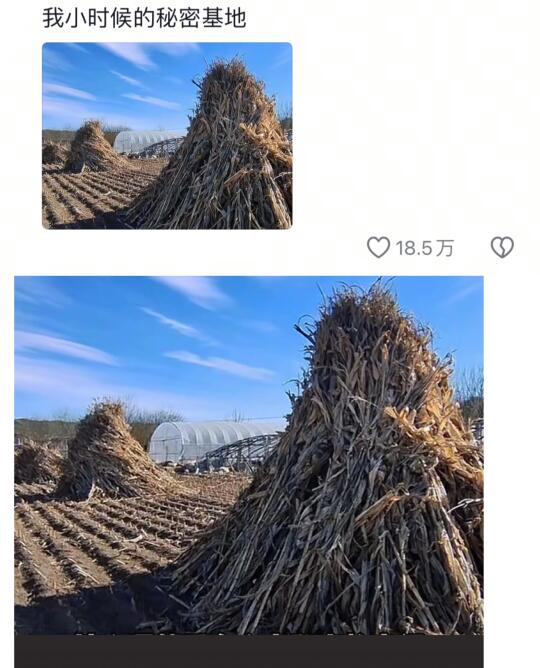《我小时候的秘密基地》哈哈哈哈哈哈哈哈哈哈哈哈