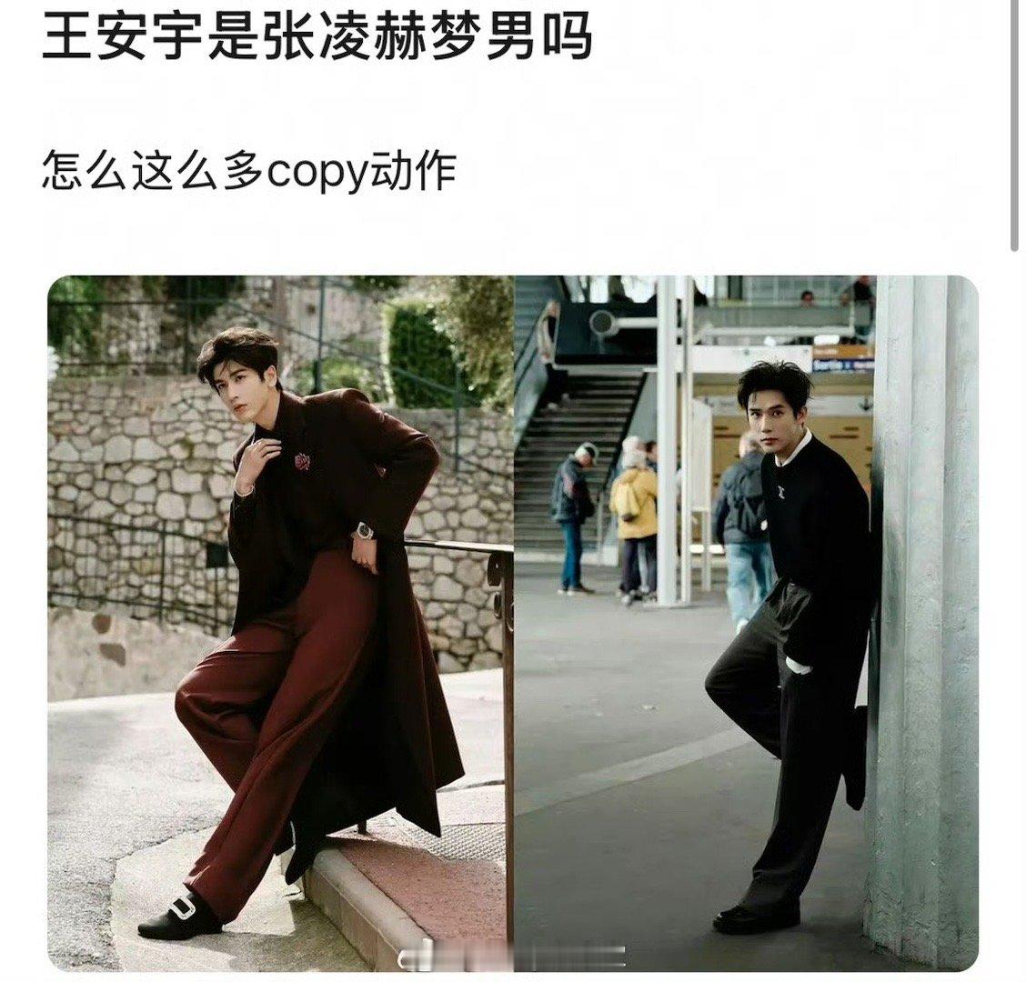 粉丝做对比图控诉王安宇是“张凌赫梦男”理由是copy拍照动作，这些是张凌赫独创的