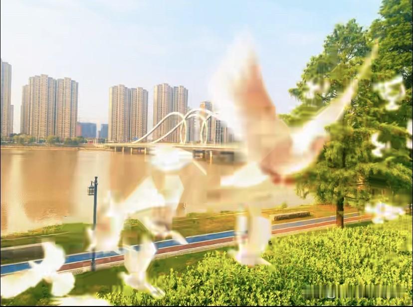 记录生活，分享美的瞬间最美大冶湖，湖光与城景相映成趣，白鸽掠过水面，把日常的美好