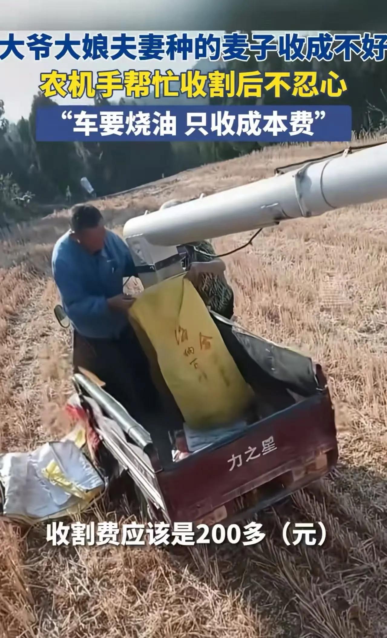 令人心酸！河南济源，男子开收割机帮一对老农户收割麦子，可是割完三亩地麦子只有2个