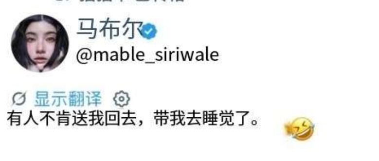 这波我站🛰️翻译千问 dp 豆包 都被我淘汰了 mablepangjie