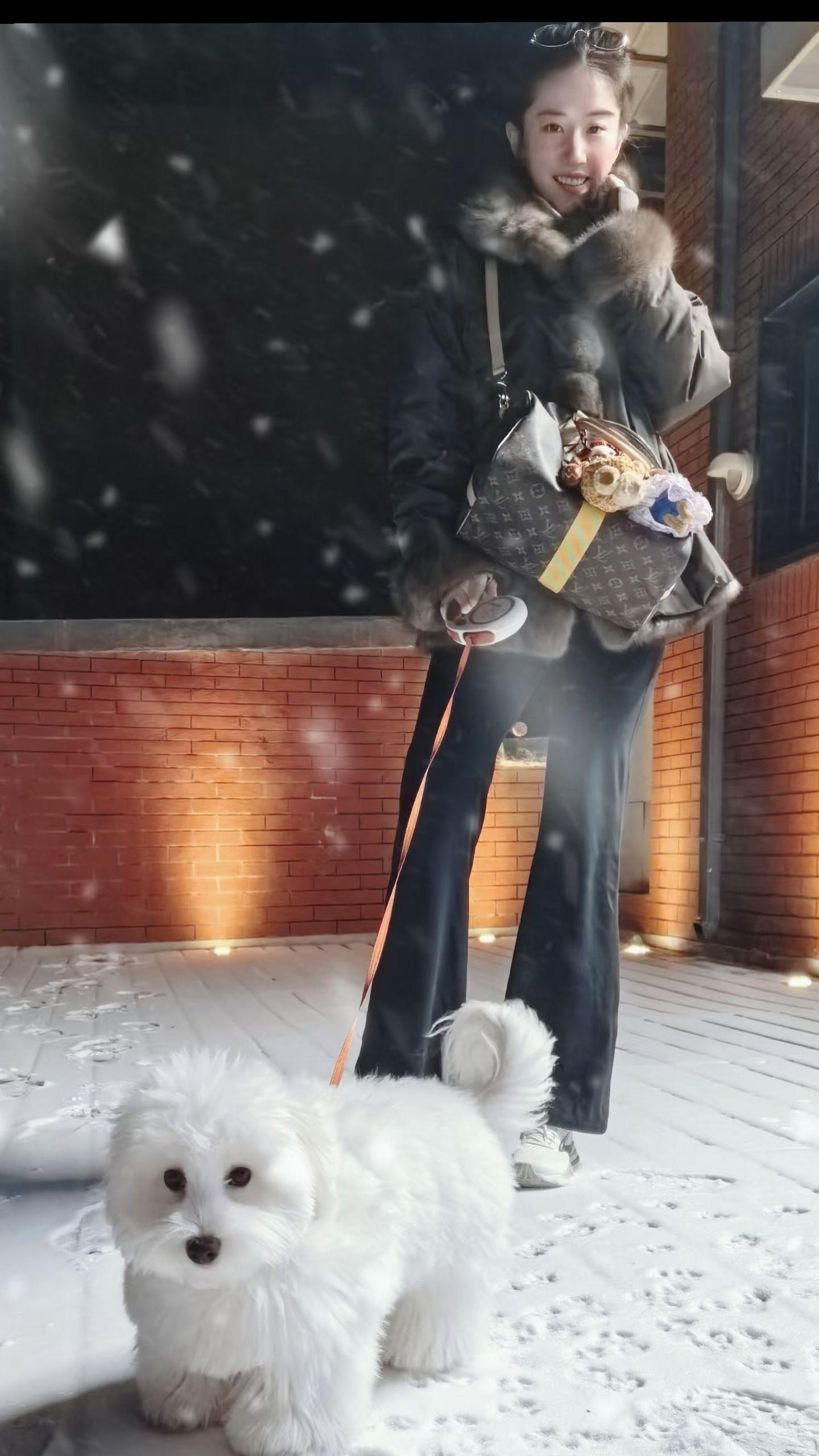 两个都好可爱，一只小猫咪，一只小狗。