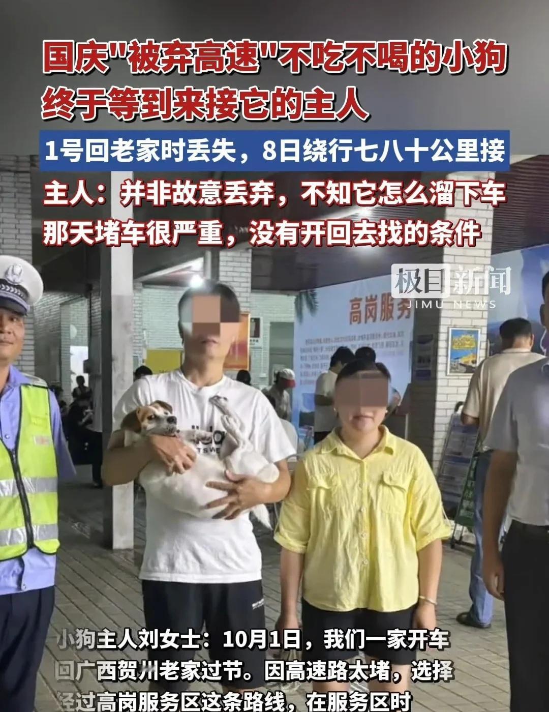 国庆“被弃高速”小狗终于等到来接它的主人
国庆“被弃高速”不吃不喝的小狗终于等到