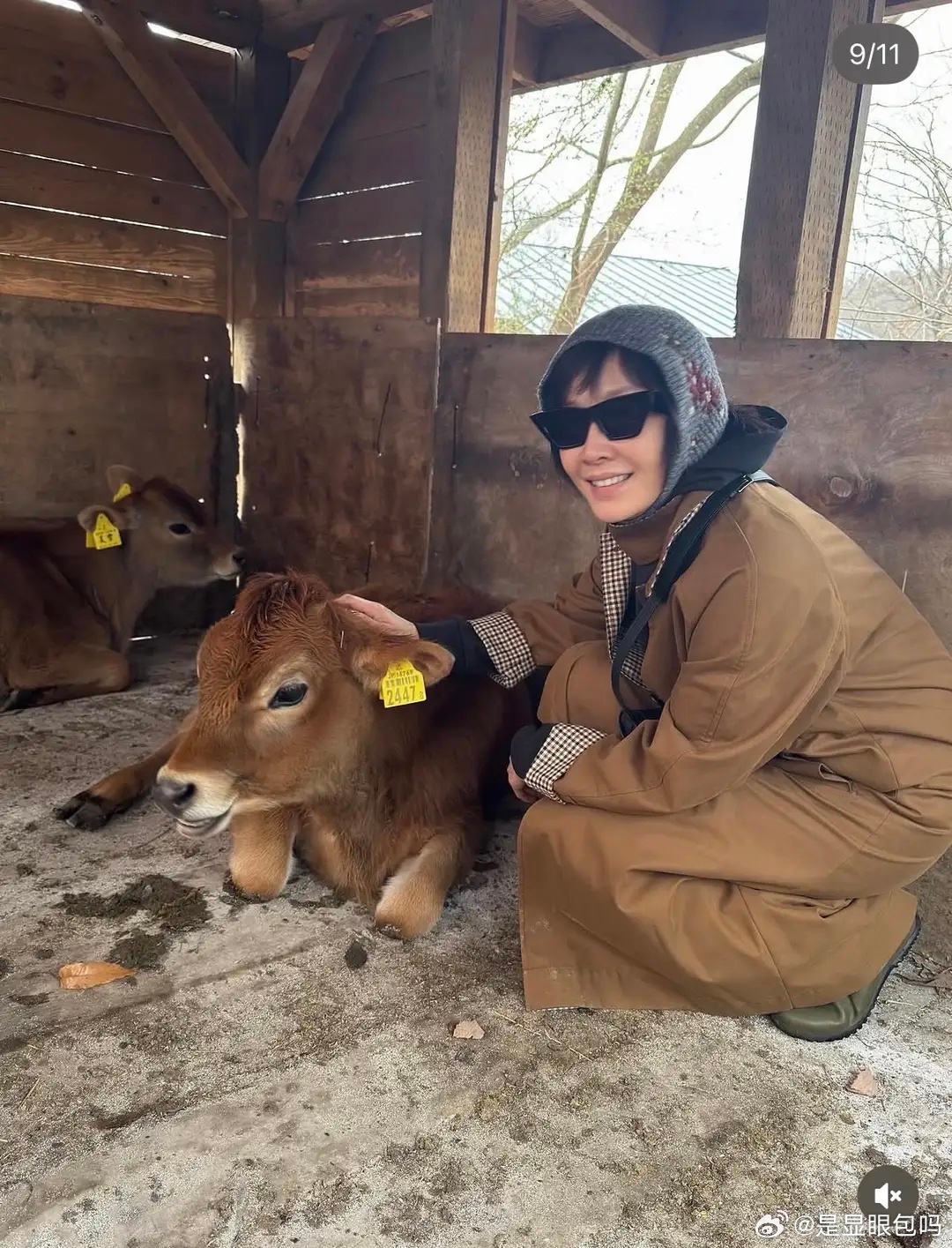 刘嘉玲陪家人在国外旅游，80岁母亲穿搭时尚，气质优雅比女儿抢镜！ 