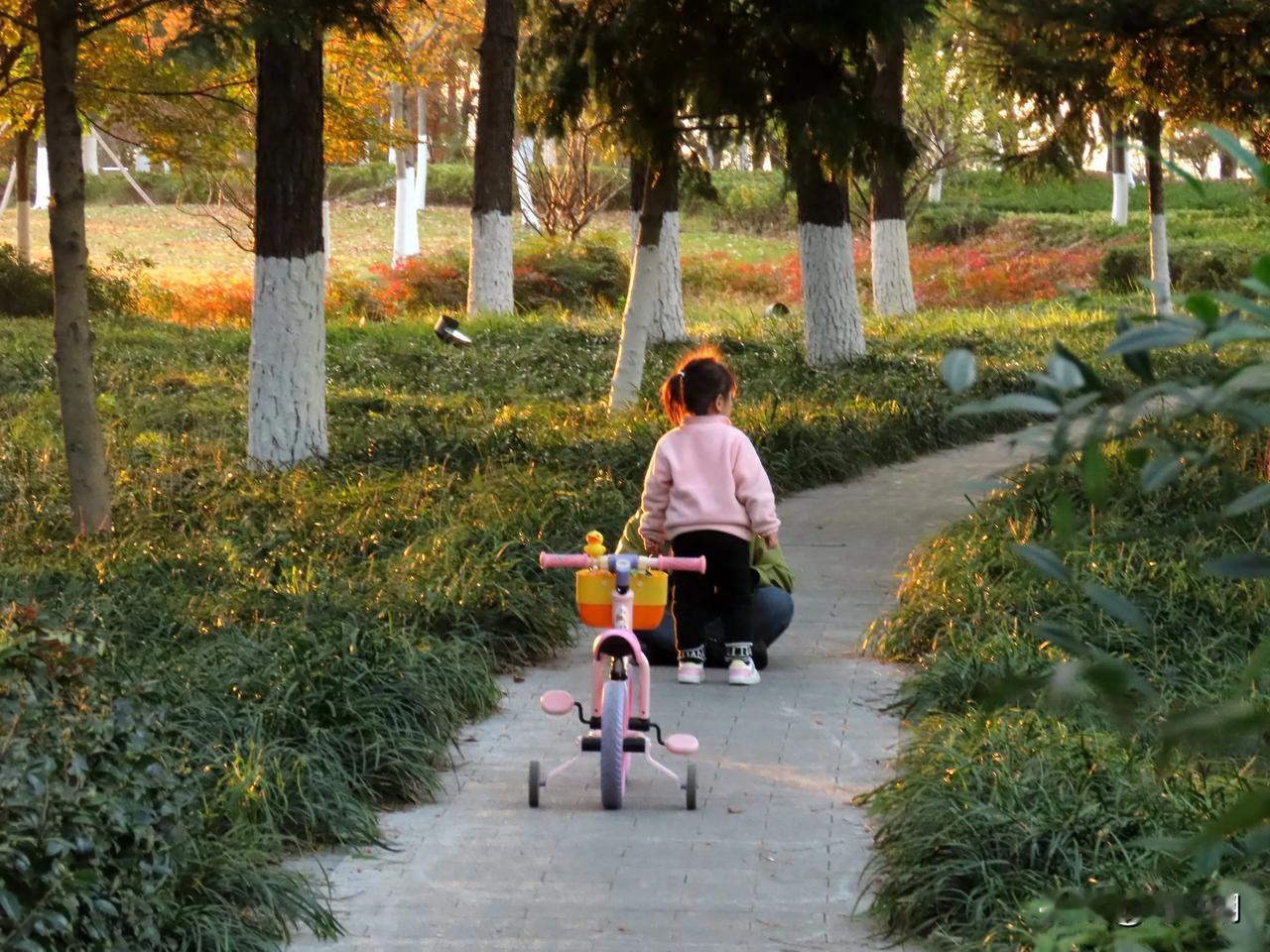 秋日午后，与孩子共享宁静的公园时光。🍂🚲👧