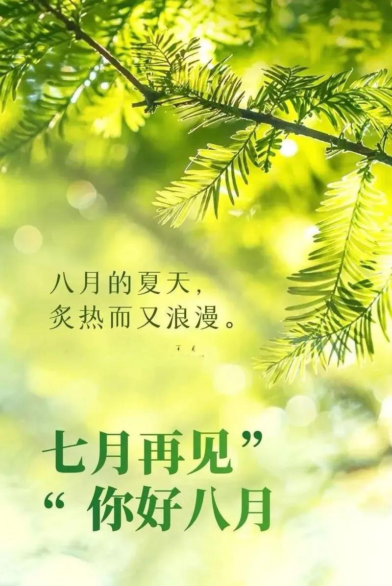 一年过半
正如我们人到中年
时光匆匆
褪去了躁动
磨平了棱角
七月，再见
你好，