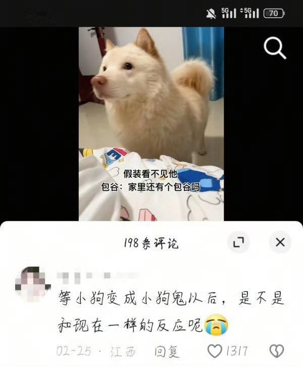 8539【】能投吗，每次大家都在开心发宠物刷小动物视频，评论区就会出现这种人 ​