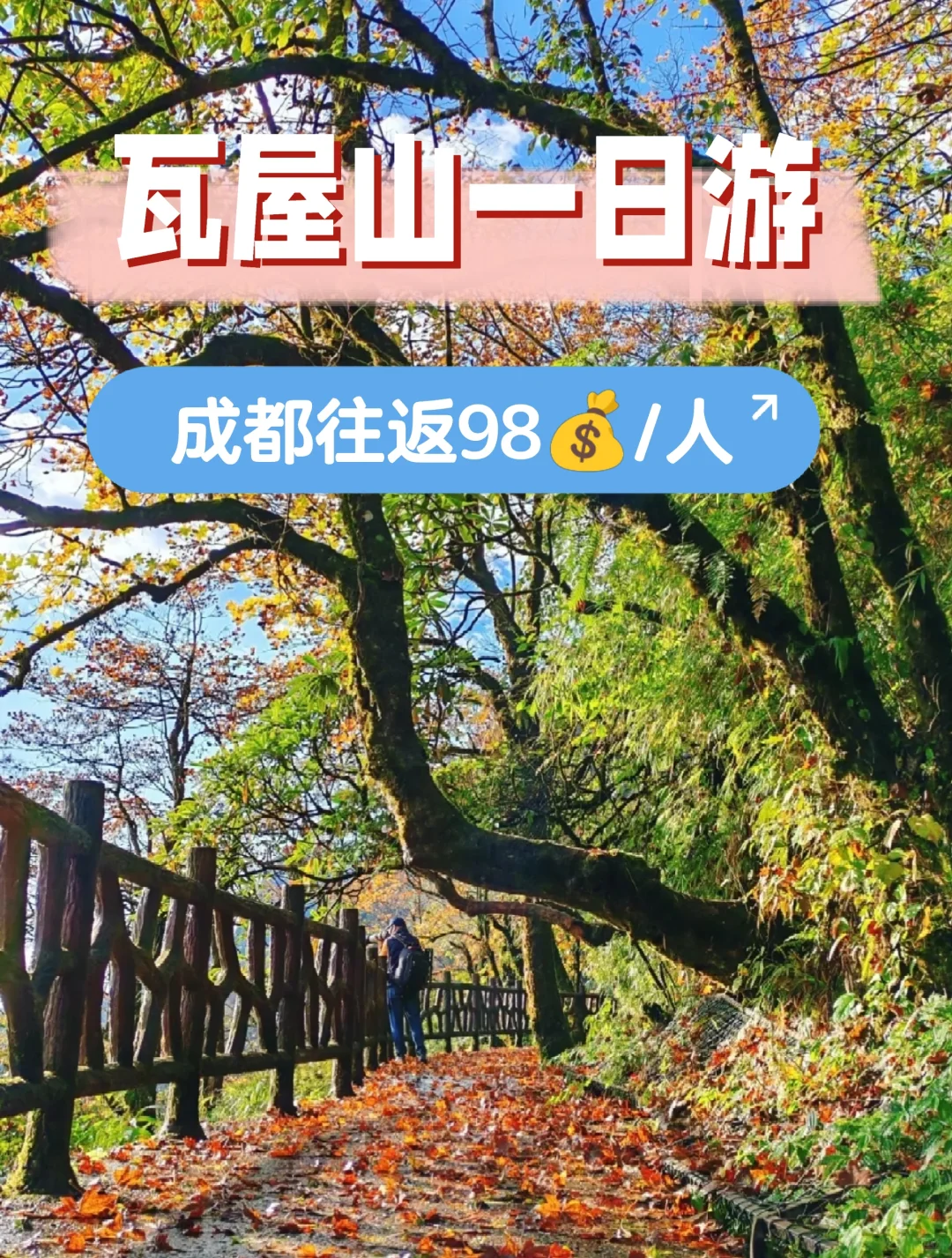 去班味 成都到瓦屋山一天赏秋 现在免门票❗