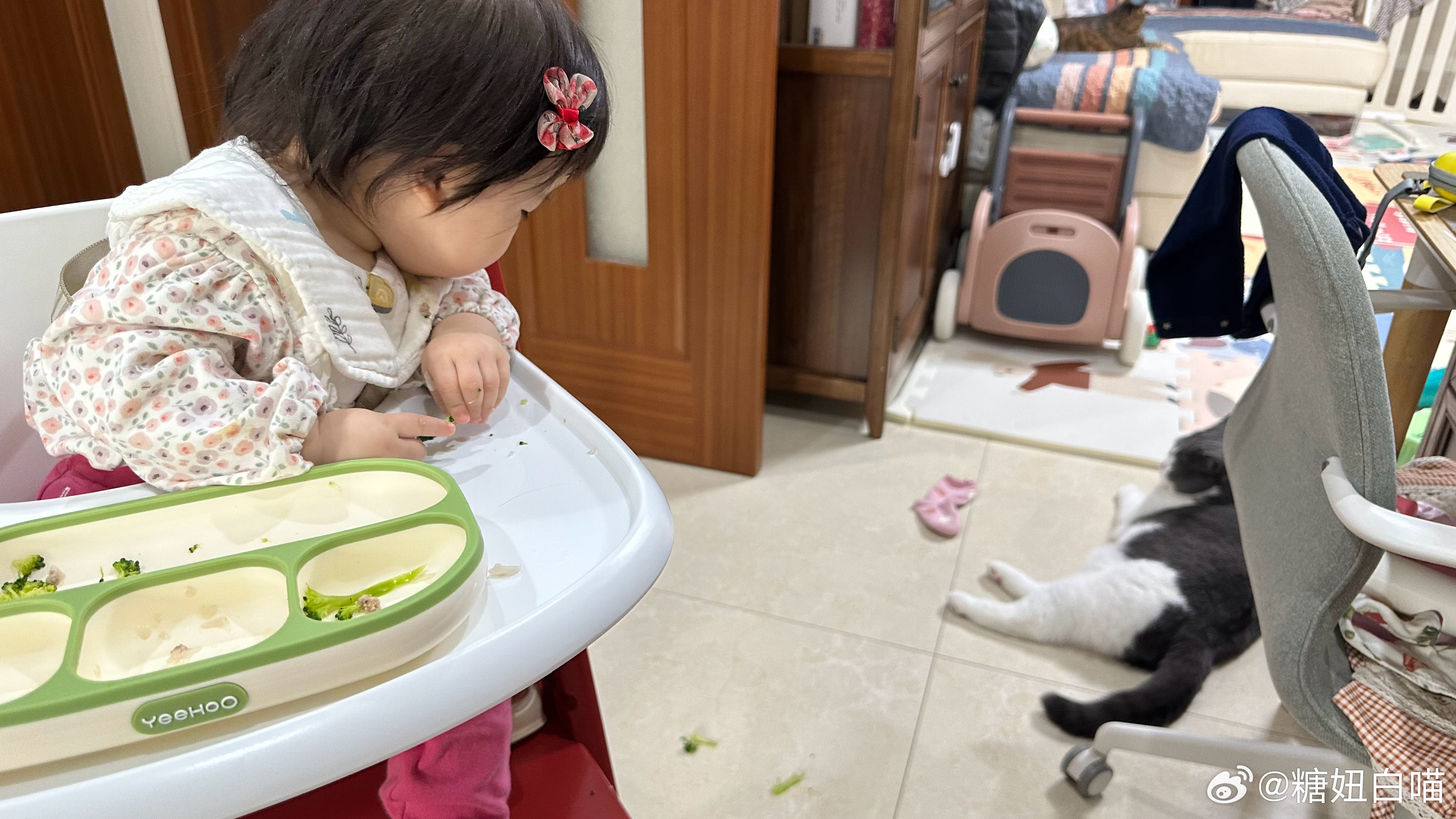 汤圆内心：妹妹，别扔了，我真的不是狗……#今日份逆子# ​​​