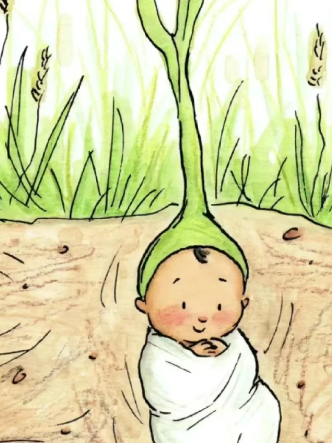 丈夫更护着婆婆的现象是怎么回事儿