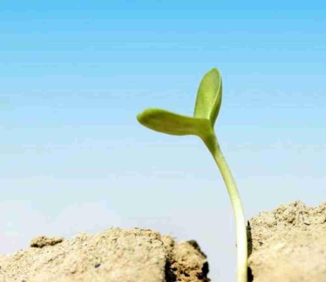 我的今日状态：💰期待暴富
我这里的天气：🌤️多云
我不敢说永远，只知每个清晨