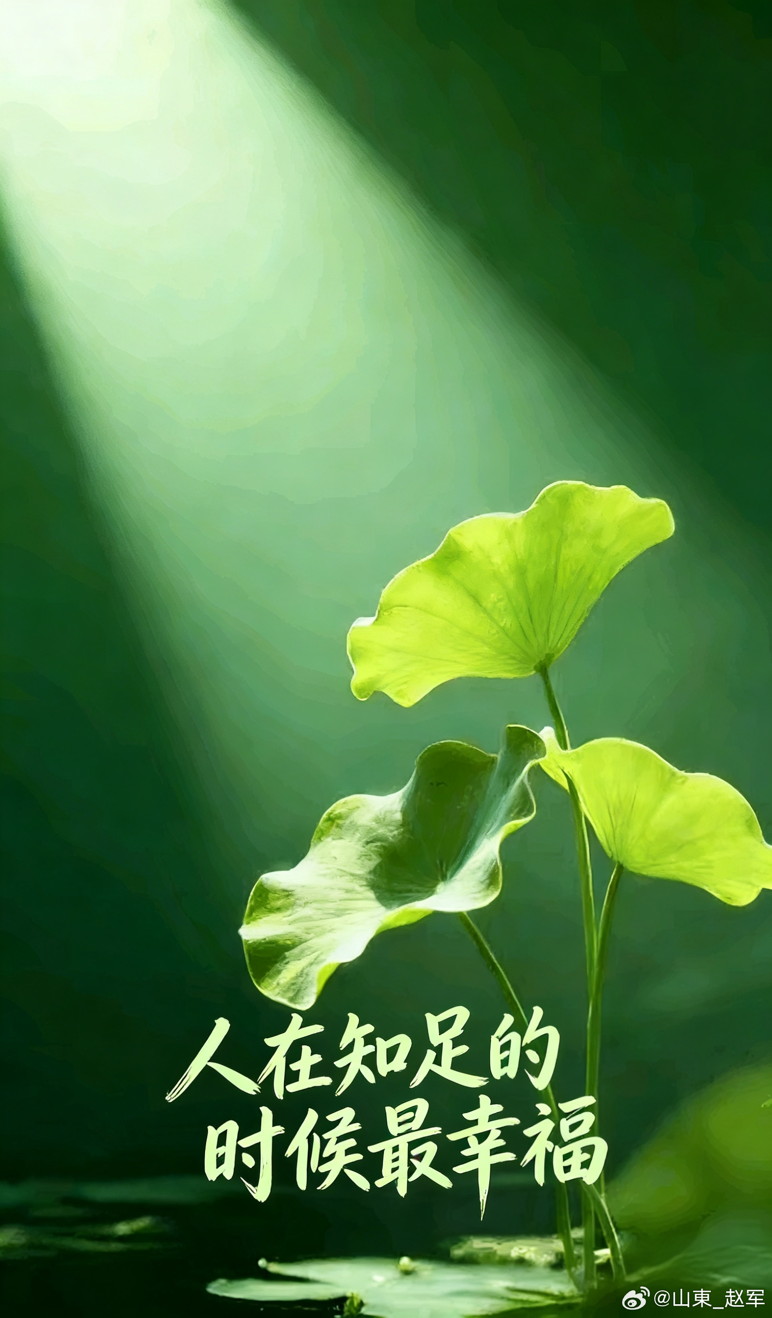 肝胆相照：被忽视的阳刚之腑，治肝为何必须治胆？在中医临床上，常有患者诉苦：“大夫