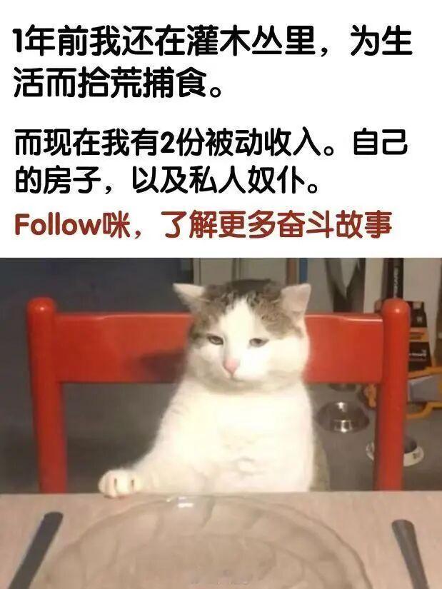 Follow 咪 ​​​