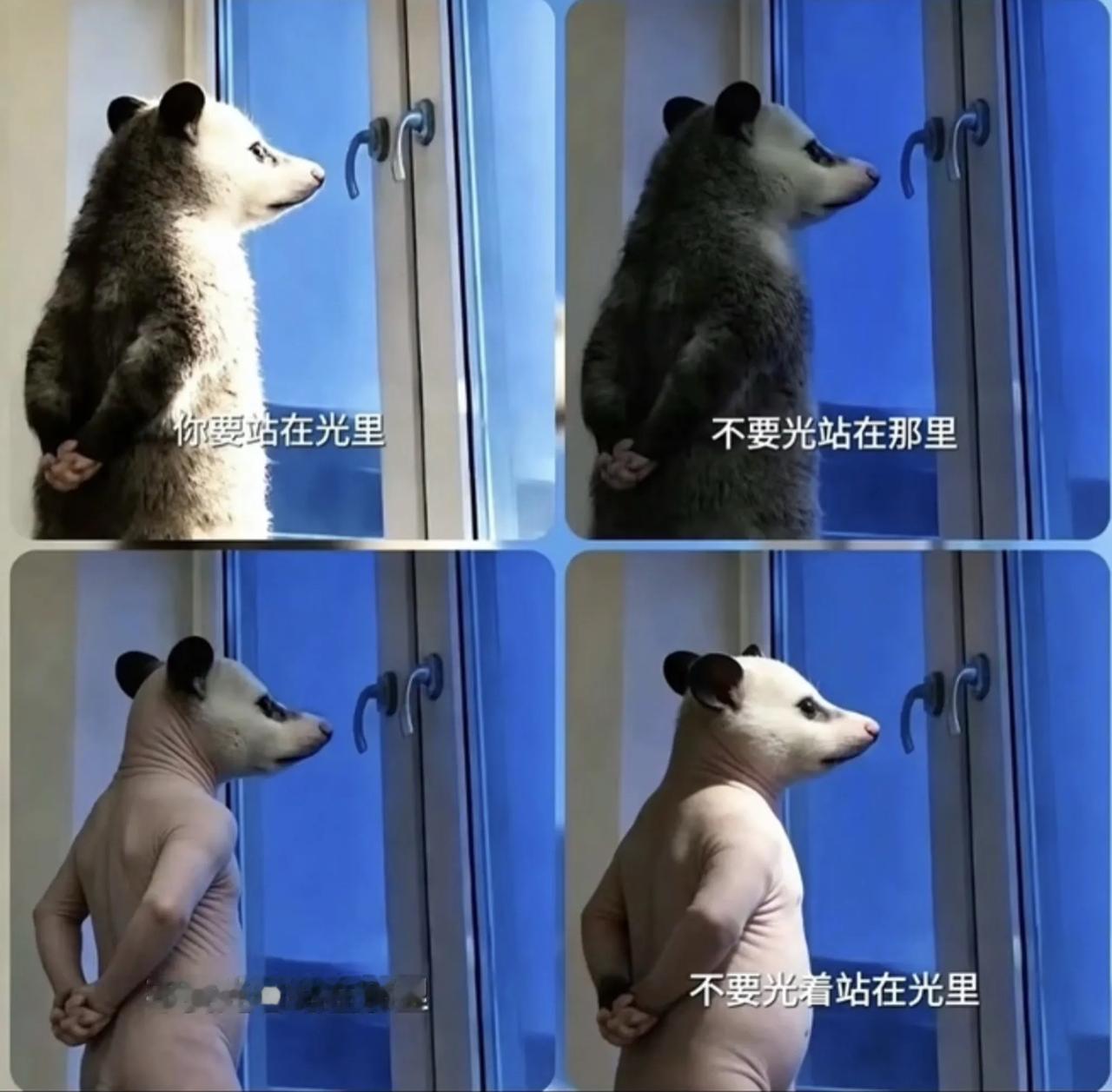 站在光里，
不要光站在那里，
不要光着站在那里，
更不要光着站在光里……

万一