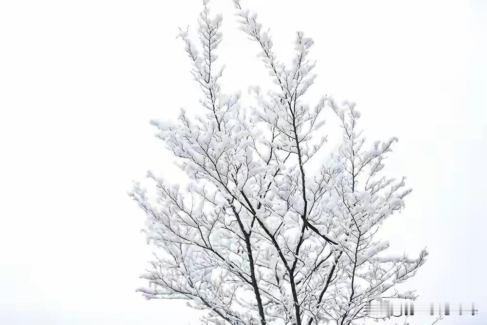 2026年第二场雪无缝衔接！1月2日起全国多地下雪，南方湿冷持续加码

刚送走跨