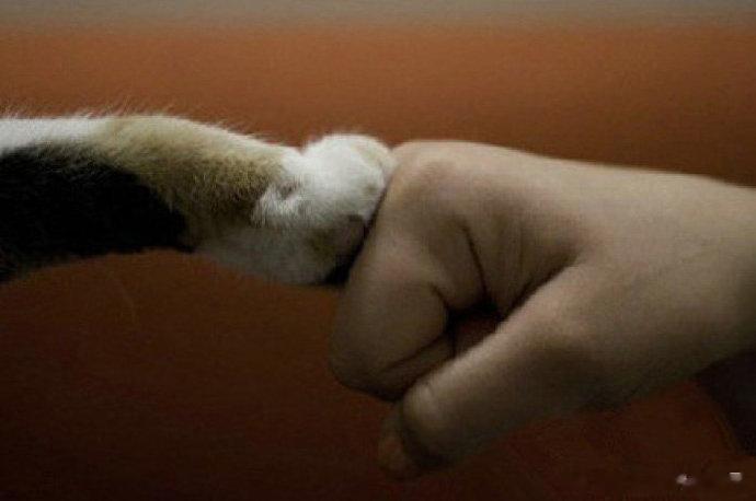 少说点没把握的承诺，脸打多了会胖的。 ​​​