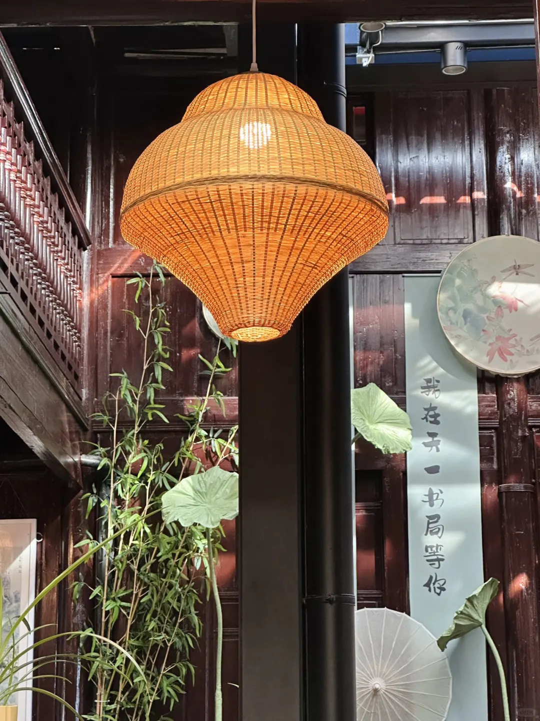 藏在闹市中的静谧之处天一书局