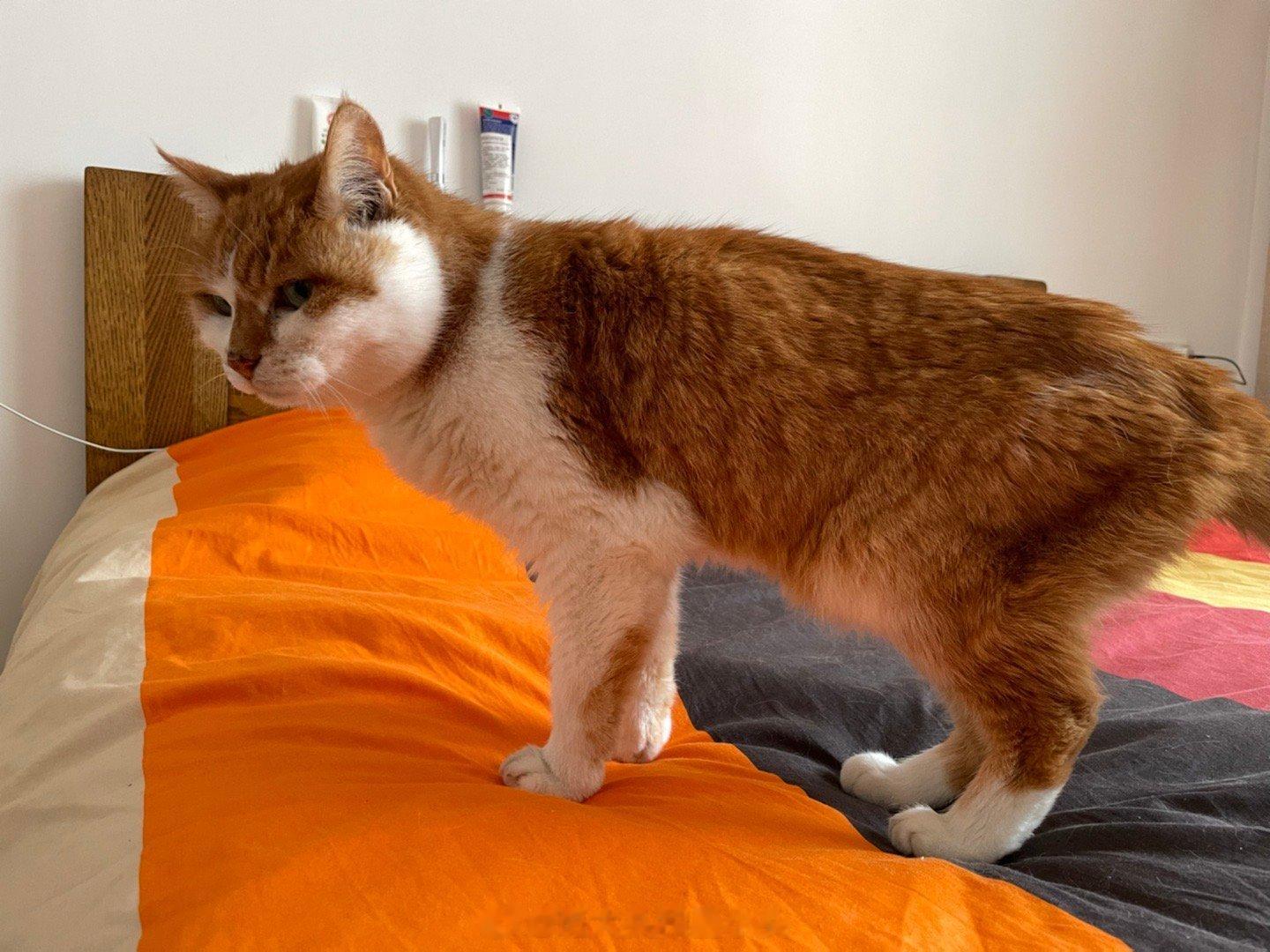 #六一儿童节# 14岁以下算儿童？那我们年龄可能稍微超了那么一点点，但是身高永远