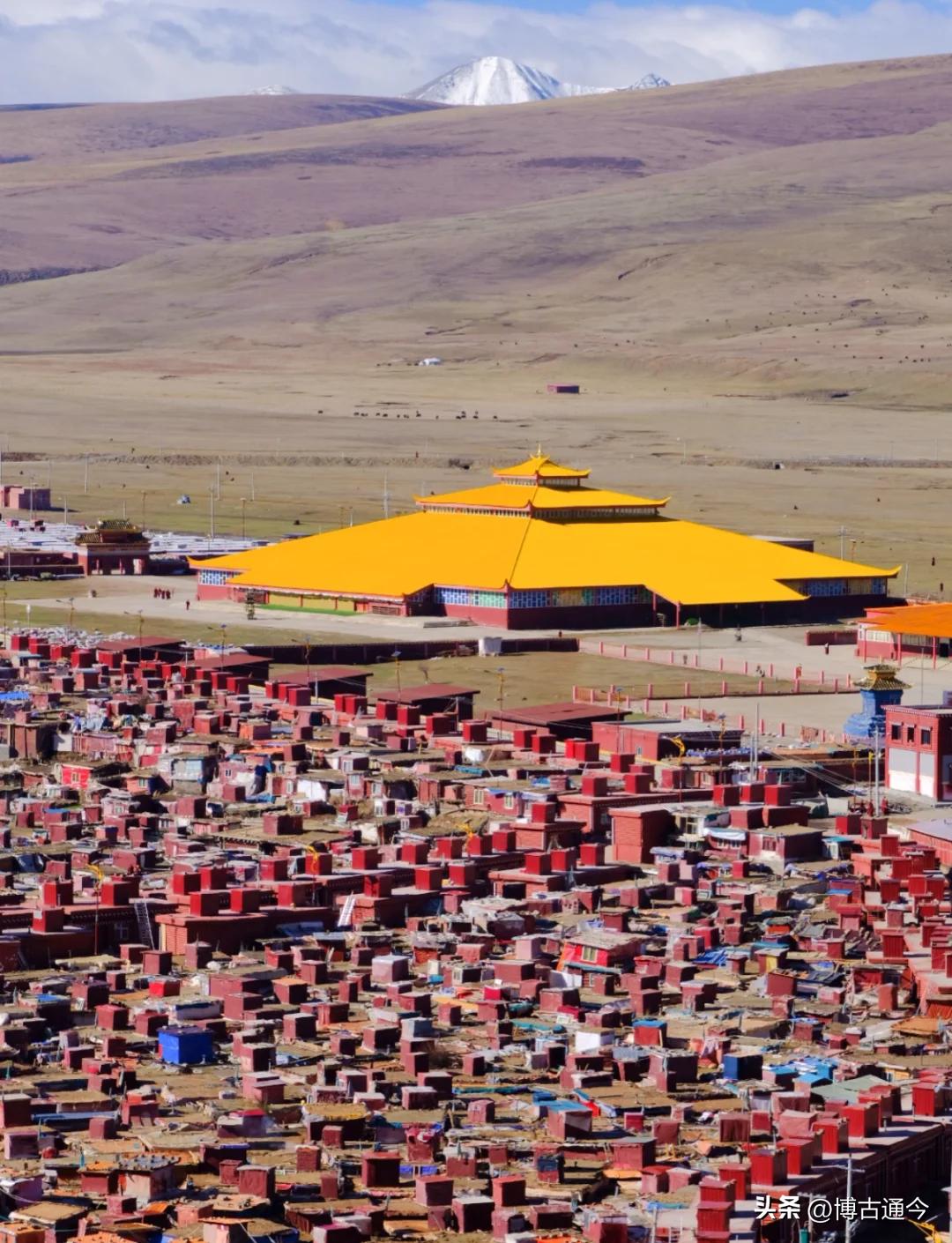 中国最大女性修行地亚青寺：2万觉姆苦修，天黑禁足铁规，违者必逐的真相太戳心
 