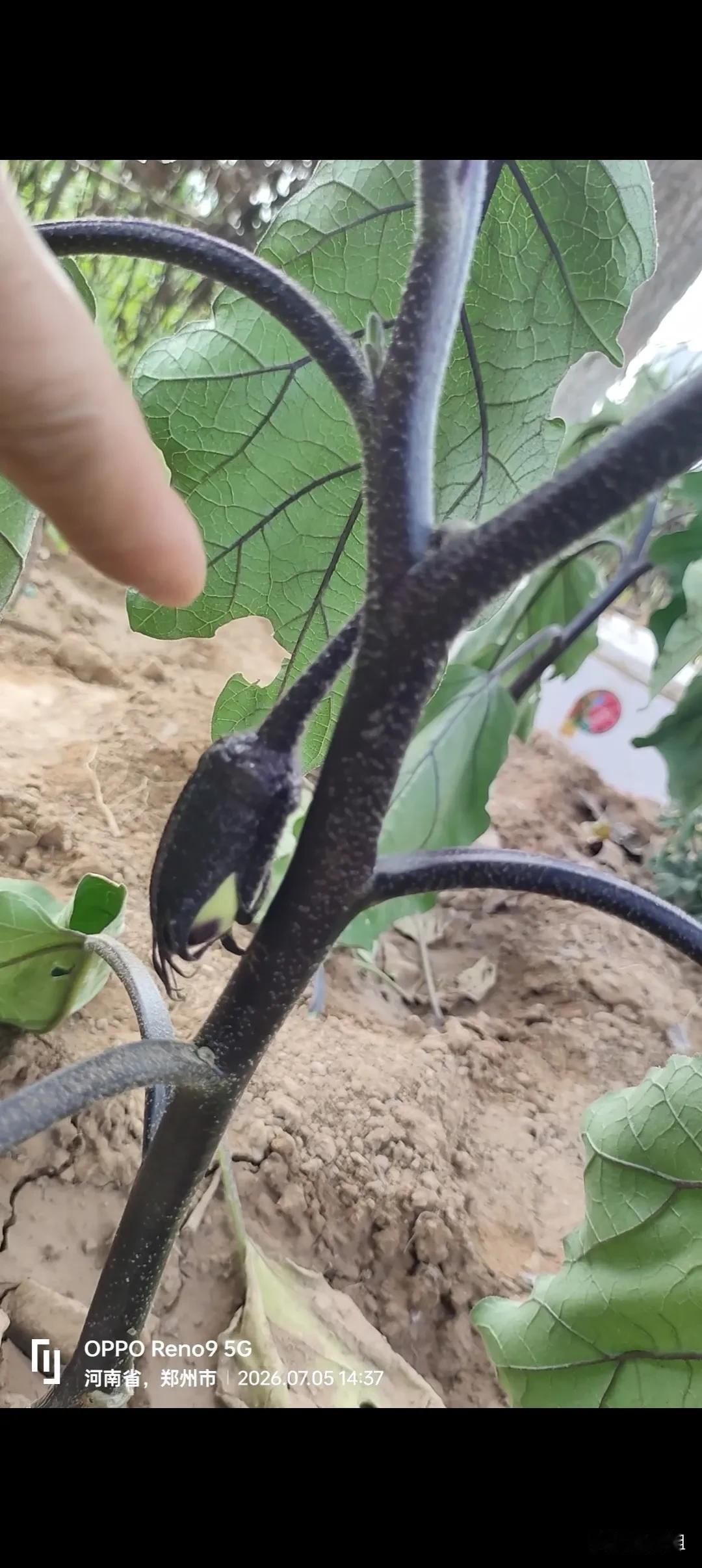 婚恋市场的新潜规则你知道吗？
现在的年轻人谈恋爱，你知道最关心的什么吗？

不再