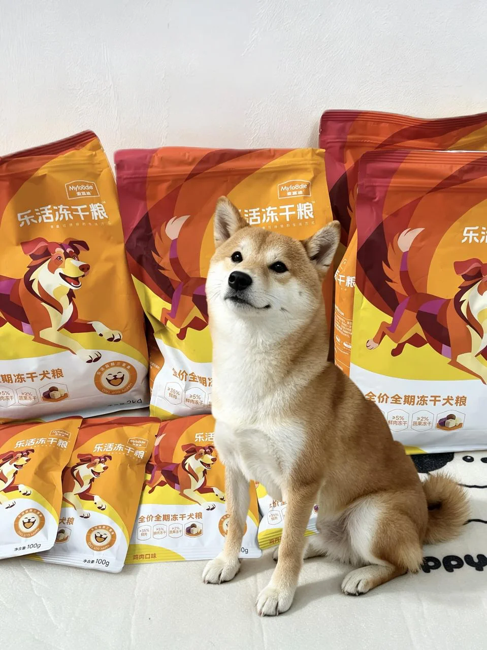 狗粮囤货战绩！🐶就说咱们这家底厚不厚～