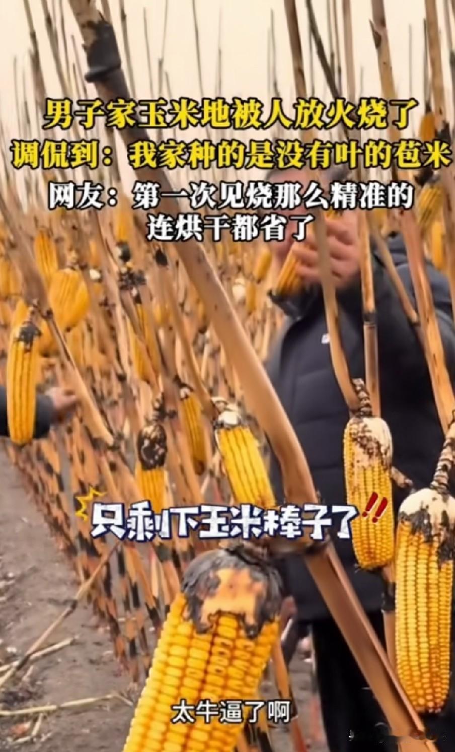 居然没蹦出爆米花来
差评！