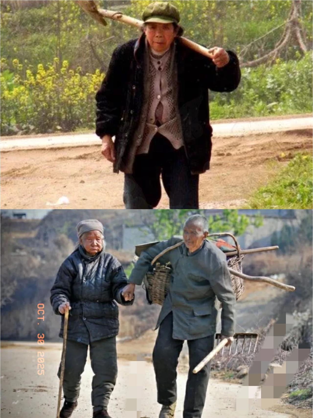 农村这些现象你有没有琢磨过？好多人说当过村支书的，不管多大岁数，很少见天天扛锄头